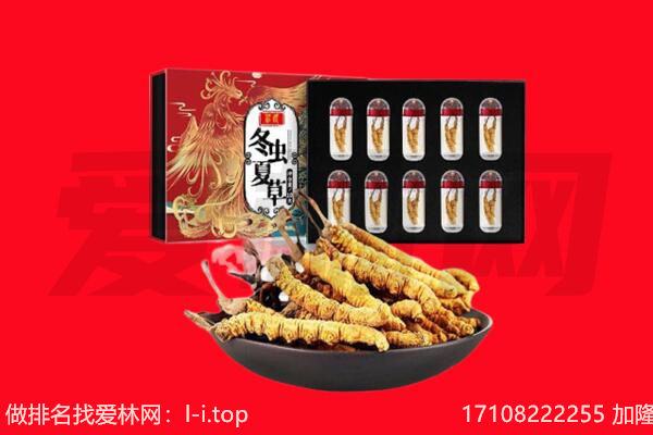 商丘市回收虫草.jpg